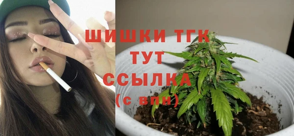твердый Новозыбков