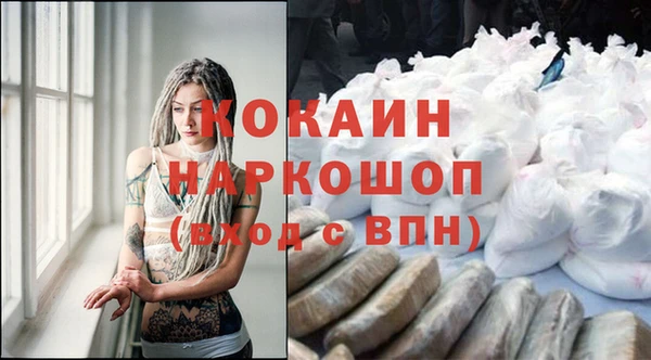 твердый Новозыбков